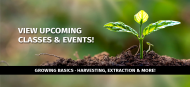 Grow Your Own Classes 