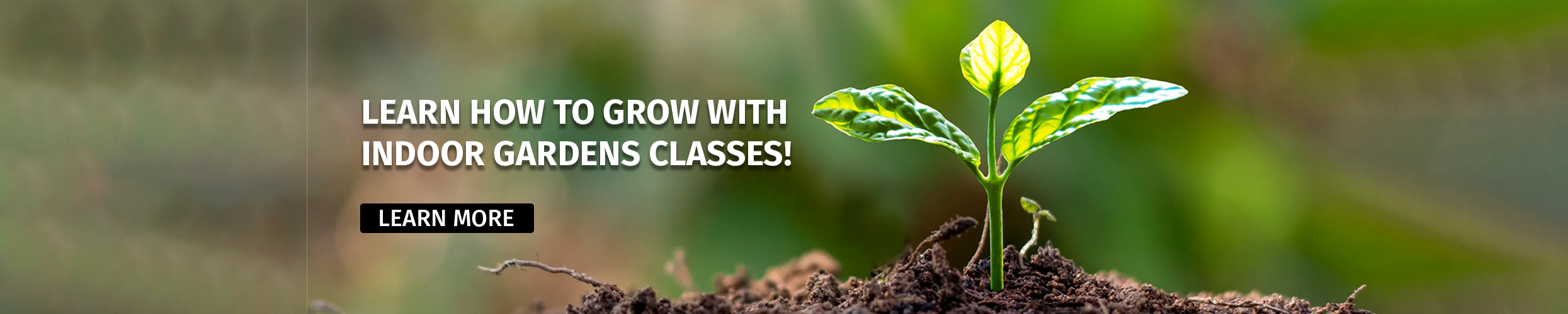 Grow Classes 