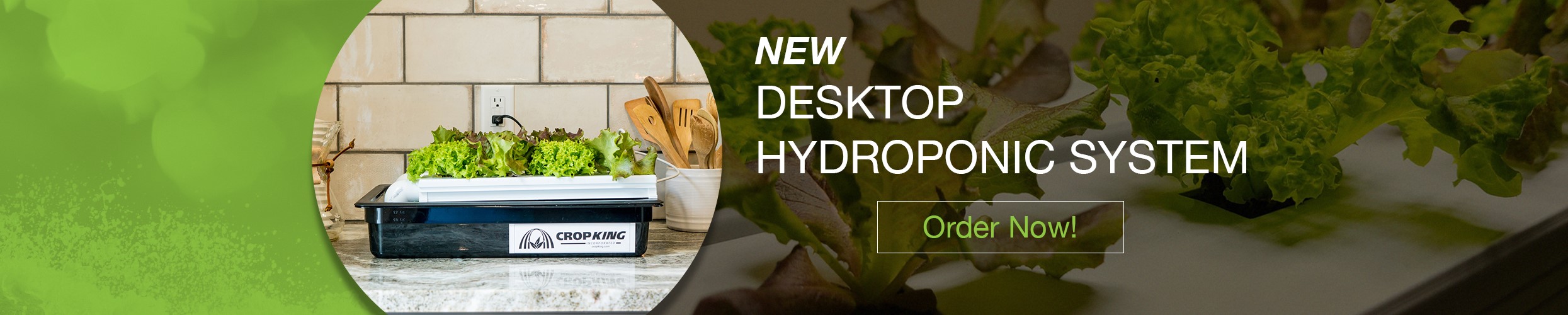 Desktop Hydroponic System