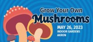 Grow Your Own Mushrooms - Akron