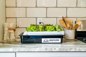 Cropking NFT Desktop System