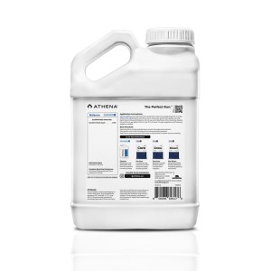 Athena Balance 2