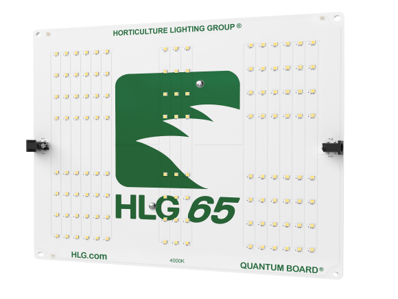 HLG 65