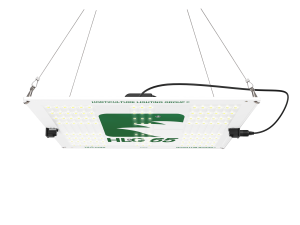 HLG 65 New_hangers_lit