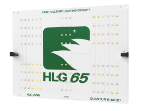 HLG 65