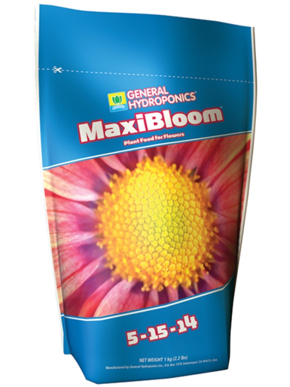 GH MaxiBloom