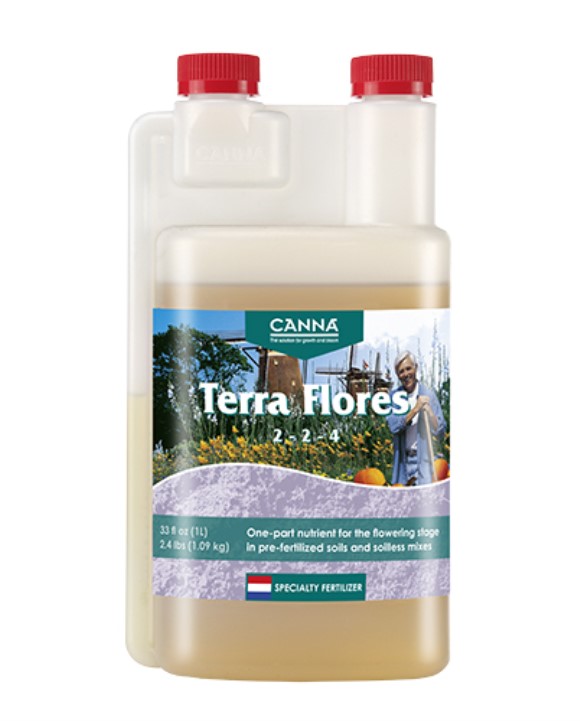 Canna Terra Flores