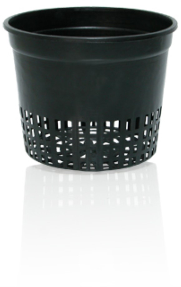 Net Cup, 5", bag of 50