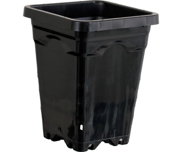 Active Aqua 5" x 5" Square Black Pot, 7"