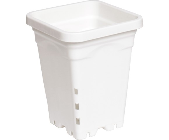 Active Aqua 5" x 5" Square White Pot, 7" Tall