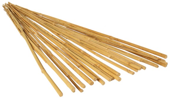 GROW!T Bamboo Stakes, Natural, pack of 25