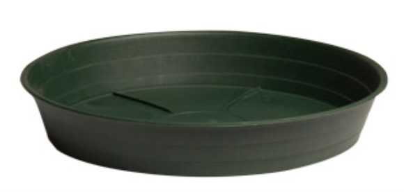 Green Premium Saucer, 12", pack of 10