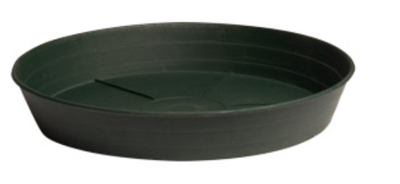 Green Premium Saucer, 8", pack of 25