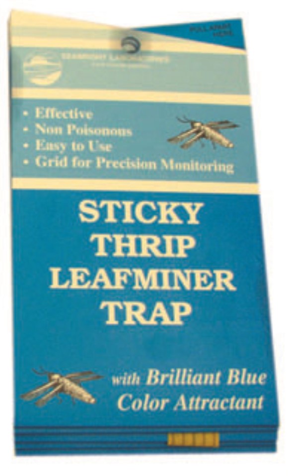 Seabright Laboratories Thrip/Leafminer Trap, 5 pack