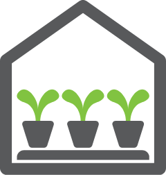 Icon of hydroponic plant system