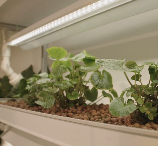 Ohio's Premier Hydroponic Superstore